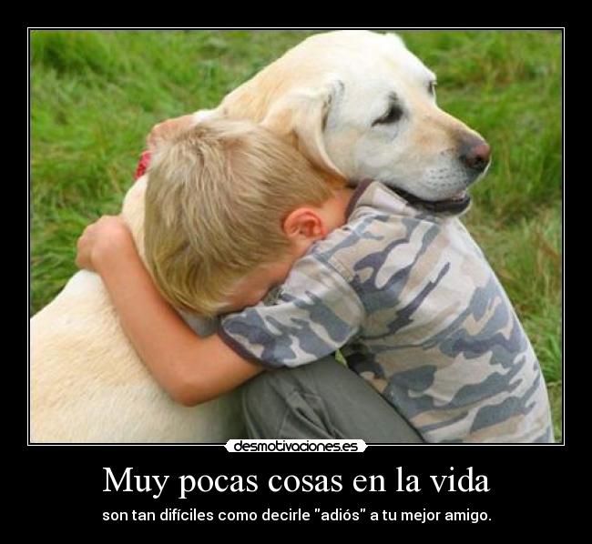 Muy pocas cosas en la vida - son tan difíciles como decirle adiós a tu mejor amigo.