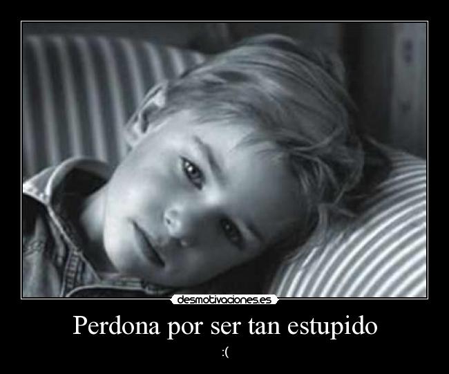 Perdona por ser tan estupido - 