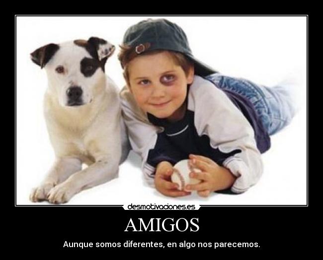 AMIGOS -