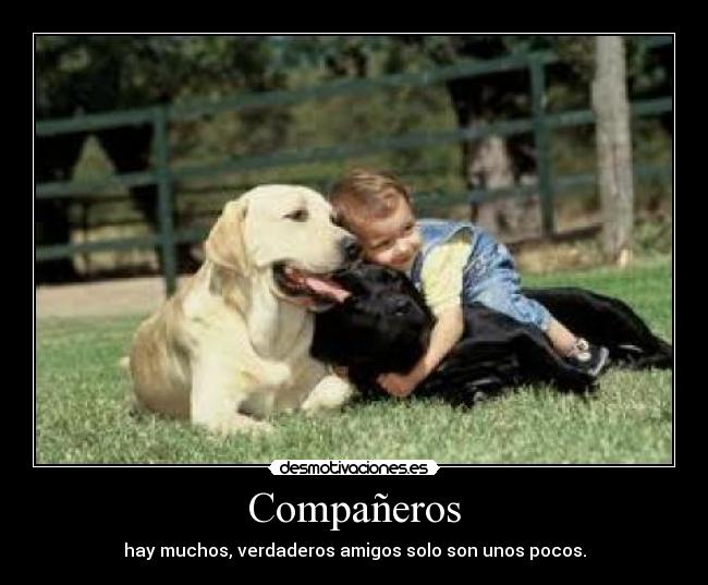 carteles lkjhgf desmotivaciones