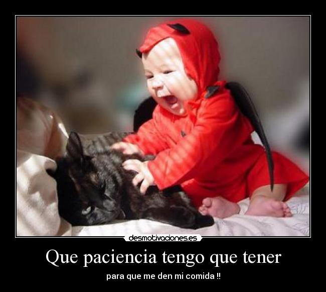 Que paciencia tengo que tener - para que me den mi comida !!