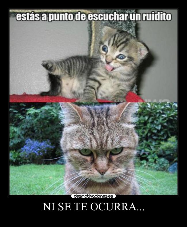 NI SE TE OCURRA... - 