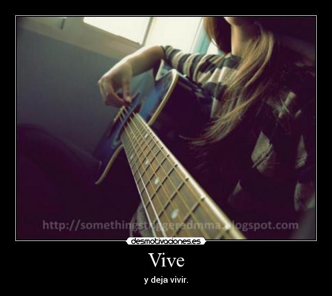 Vive - 
