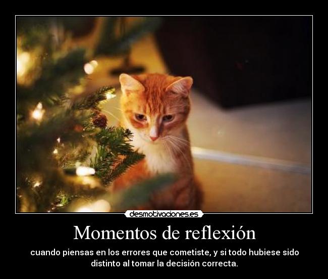 Momentos de reflexión - cuando piensas en los errores que cometiste, y si todo hubiese sido
distinto al tomar la decisión correcta.