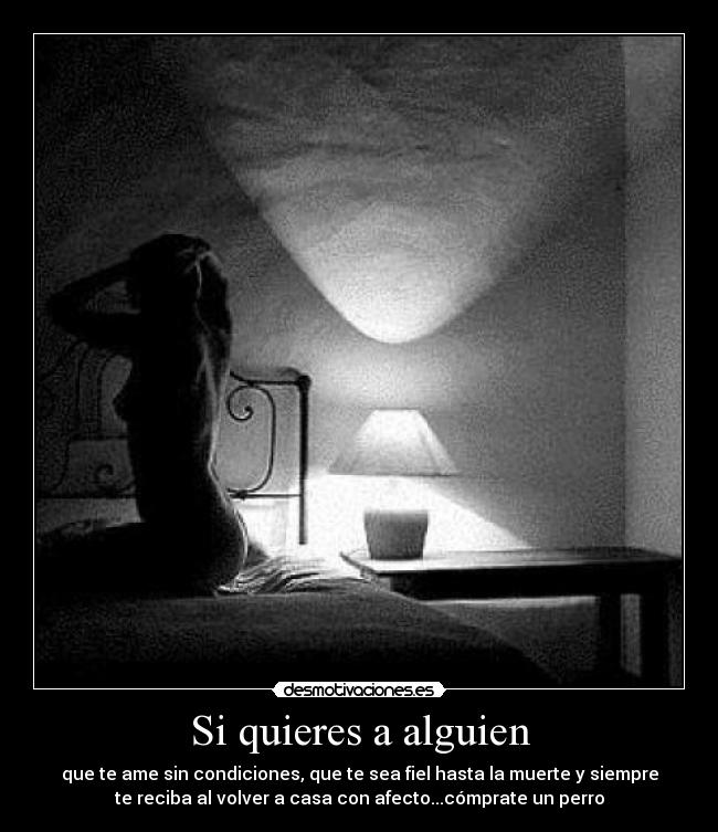 Si quieres a alguien - que te ame sin condiciones, que te sea fiel hasta la muerte y siempre
te reciba al volver a casa con afecto...cómprate un perro