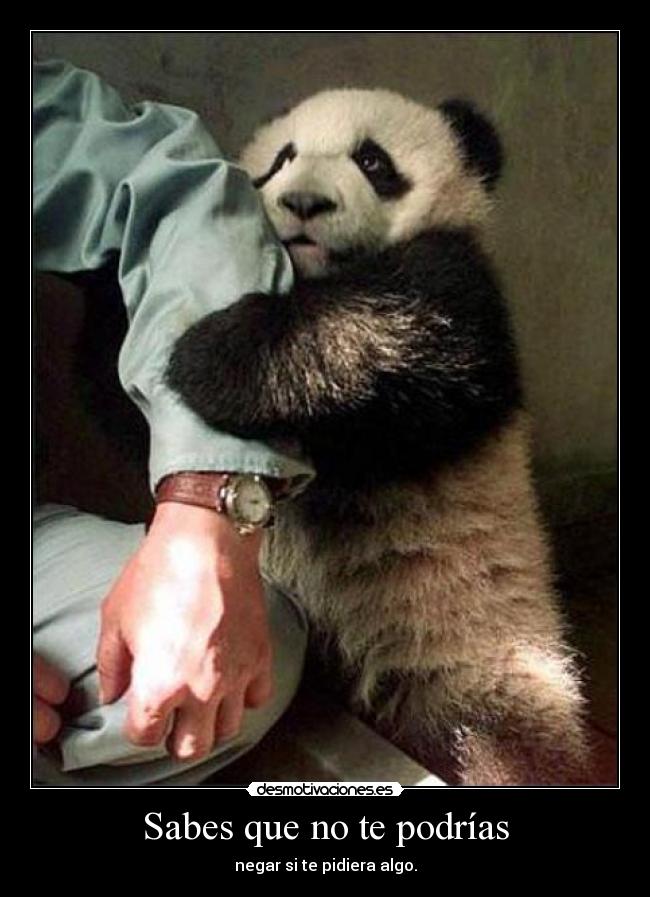 Sabes que no te podrías -