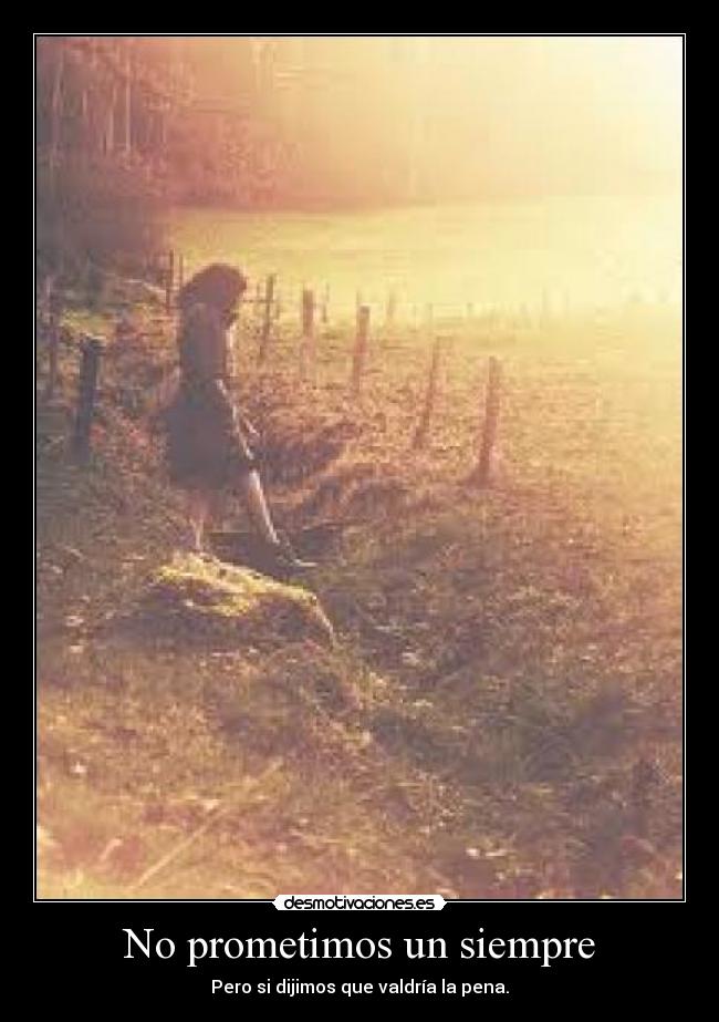 No prometimos un siempre - Pero si dijimos que valdría la pena.