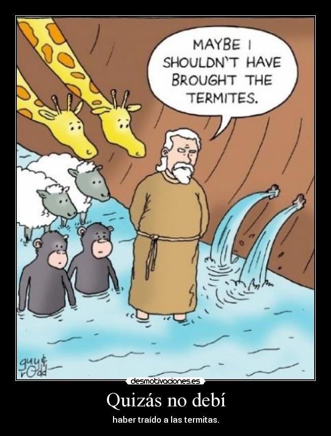 Quizás no debí - haber traído a las termitas.