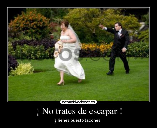 carteles ira muy lejos desmotivaciones