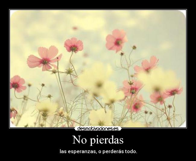 No pierdas - las esperanzas, o perderás todo.