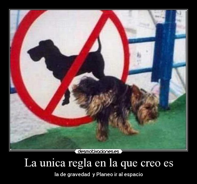 La unica regla en la que creo es - la de gravedad  y Planeo ir al espacio