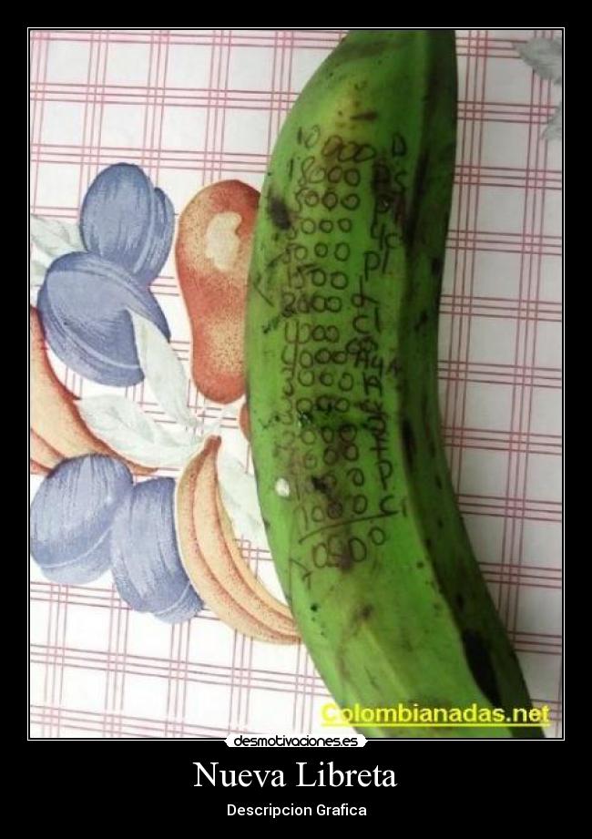 Nueva Libreta - Descripcion Grafica