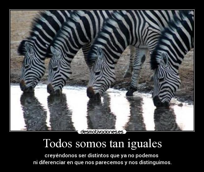 Todos somos tan iguales - creyéndonos ser distintos que ya no podemos 
ni diferenciar en que nos parecemos y nos distinguimos.