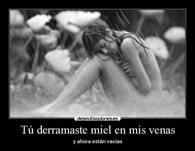 Tú derramaste miel en mis venas -