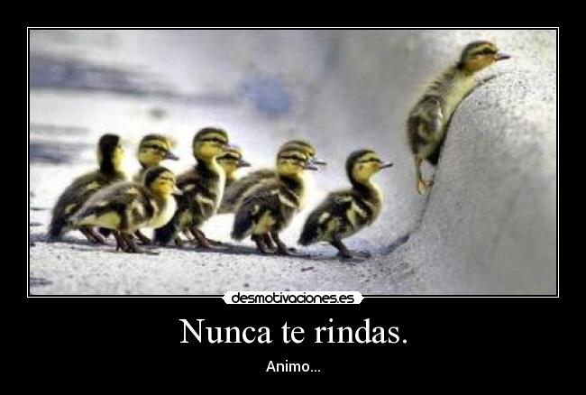 Nunca te rindas. - Animo...