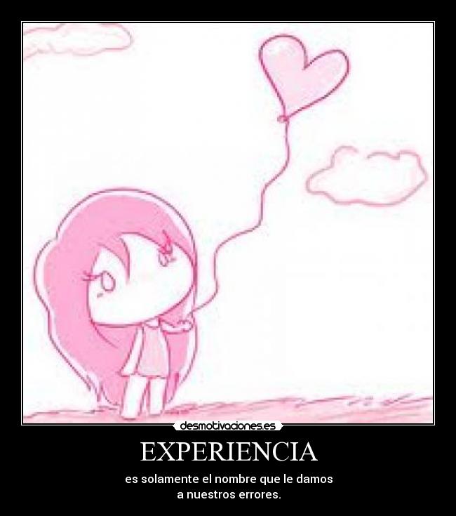 EXPERIENCIA - 