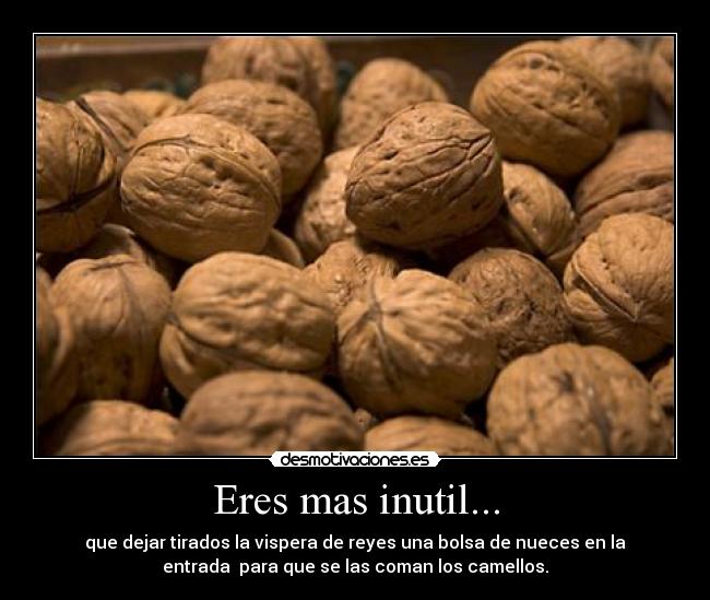 Eres mas inutil... - que dejar tirados la vispera de reyes una bolsa de nueces en la
entrada para que se las coman los camellos.