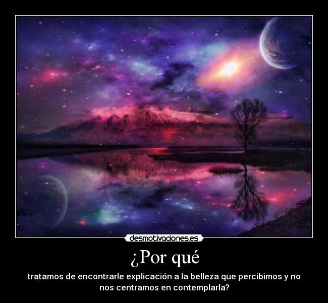 ¿Por qué - tratamos de encontrarle explicación a la belleza que percibimos y no
nos centramos en contemplarla?