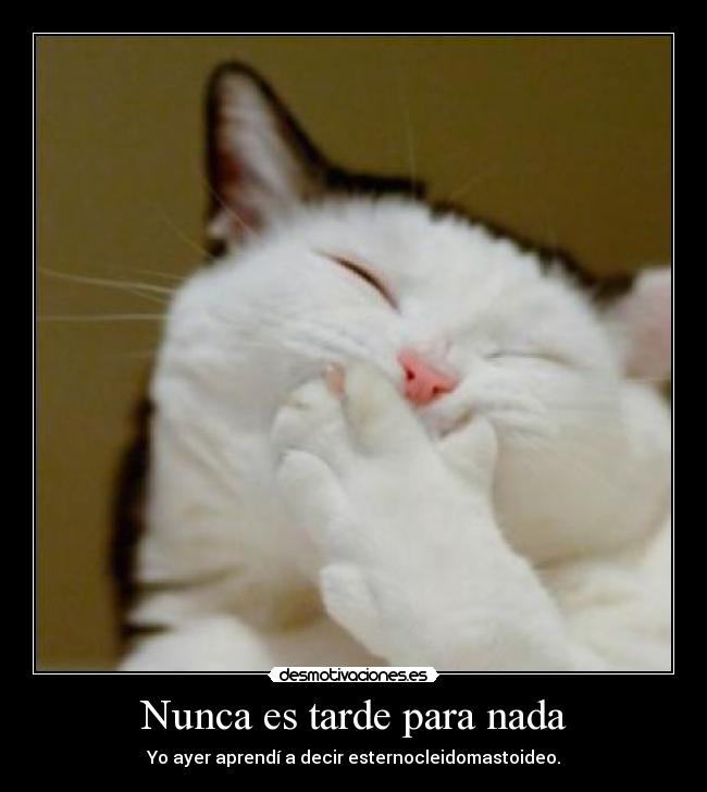 Nunca es tarde para nada - 