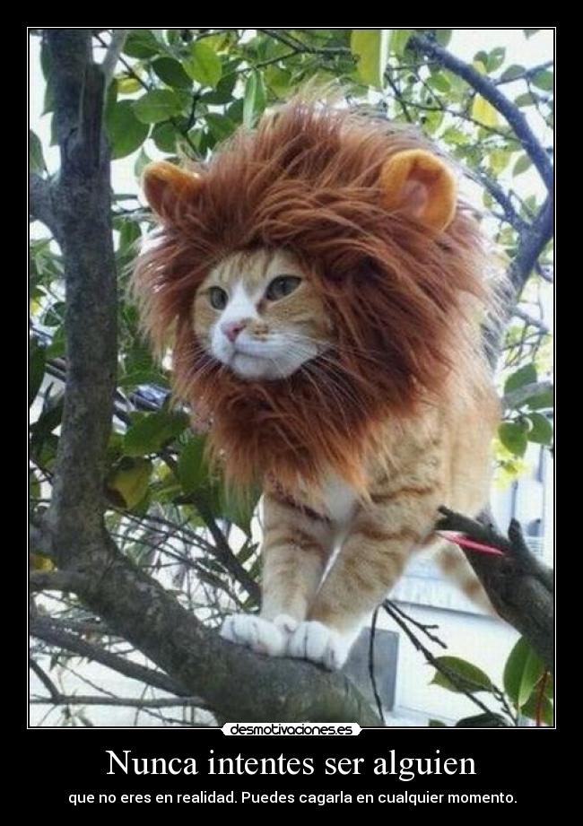 Nunca intentes ser alguien -