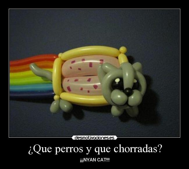 ¿Que perros y que chorradas? - 