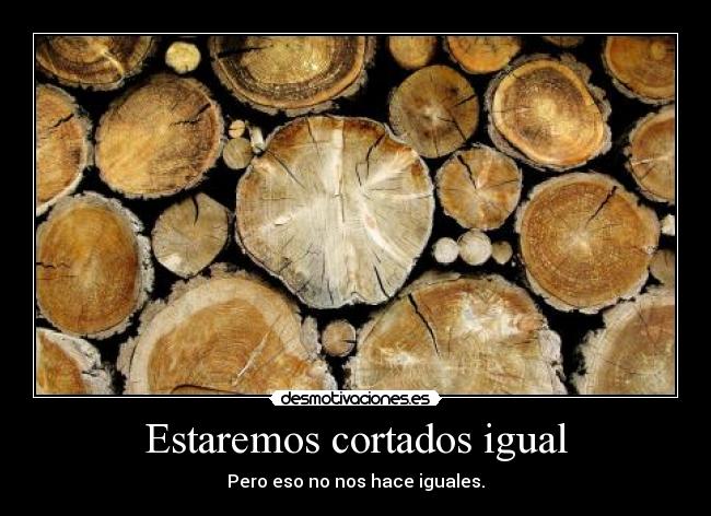 Estaremos cortados igual - 