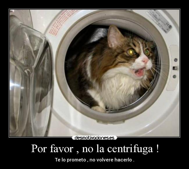 carteles hristina desmotivaciones