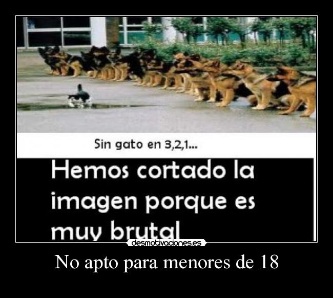 No apto para menores de 18 -