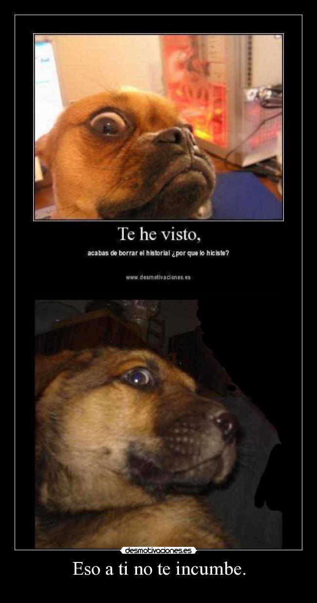 carteles incumbe desmotivaciones