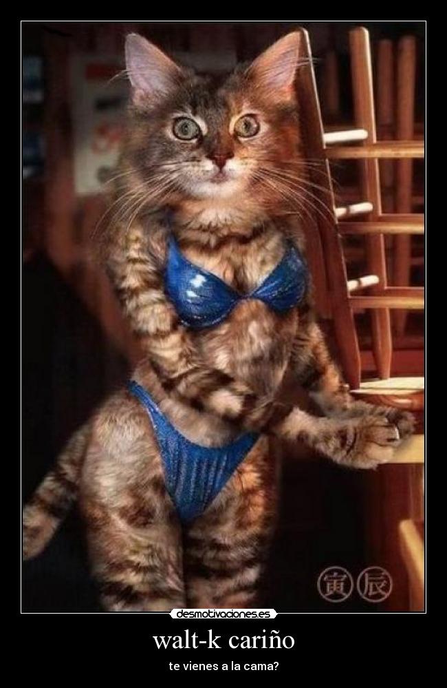 walt-k cariño - 