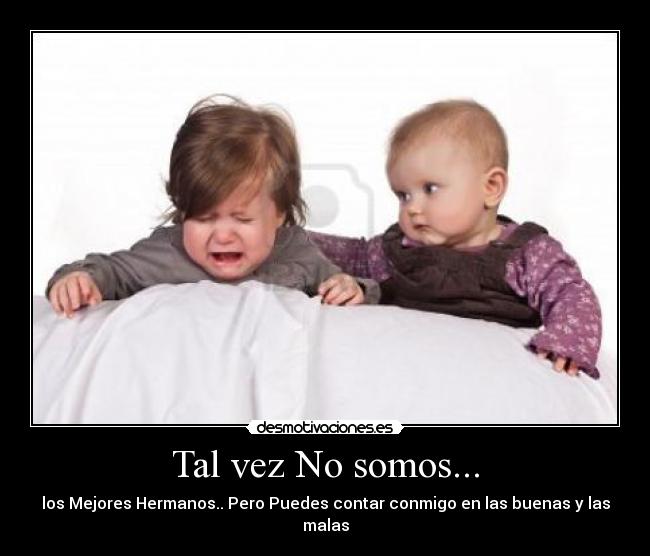 Tal vez No somos... -