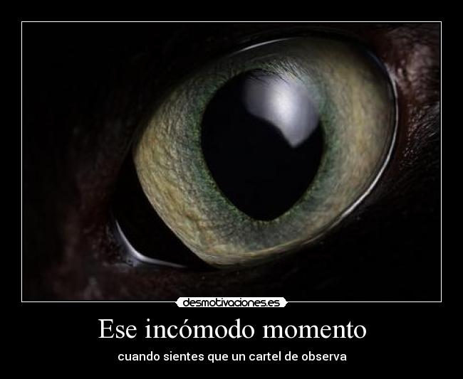 Ese incómodo momento - cuando sientes que un cartel de observa