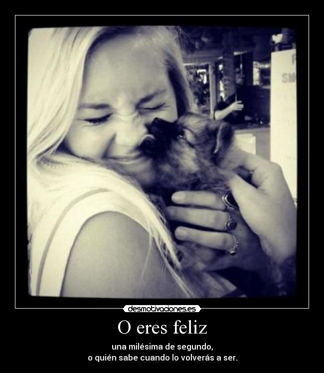 O eres feliz -