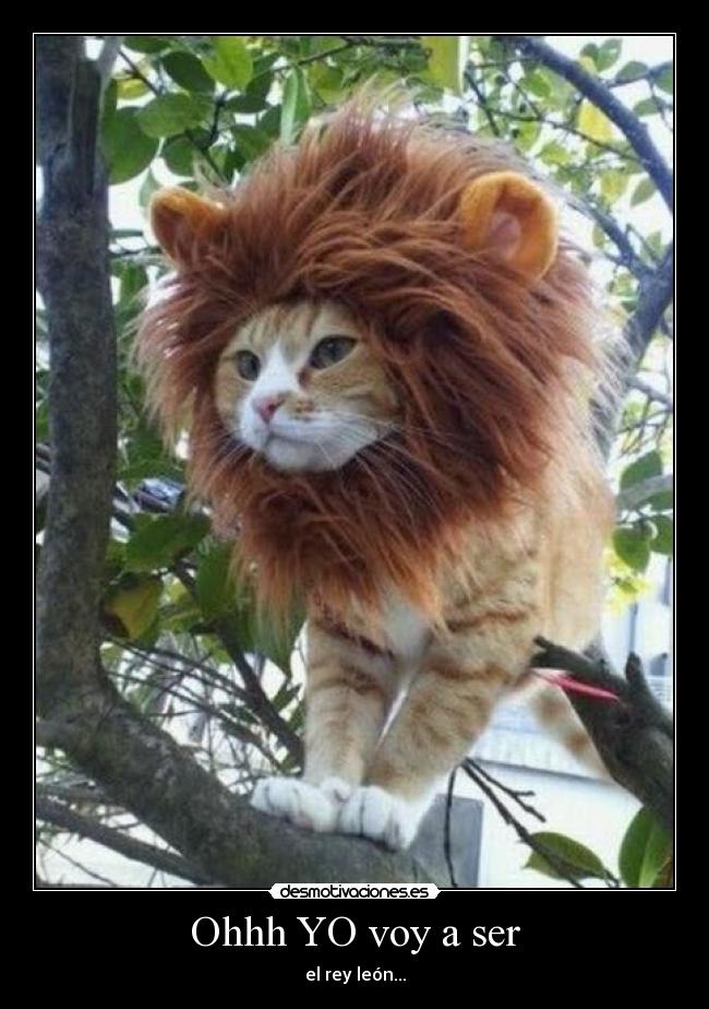 Ohhh YO voy a ser - el rey león...