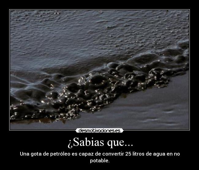 ¿Sabias que... - 