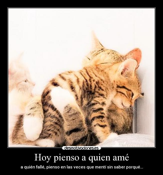 carteles amor tan complicado desmotivaciones