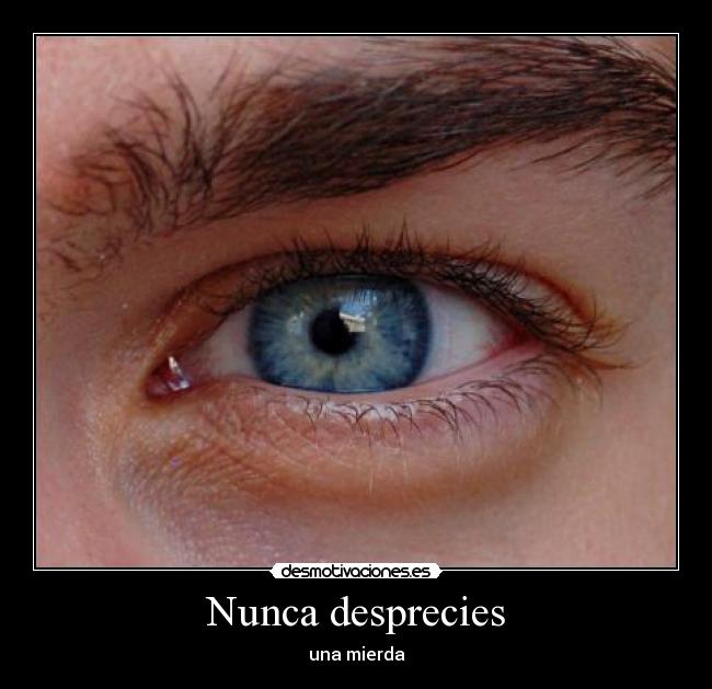 Nunca desprecies - una mierda