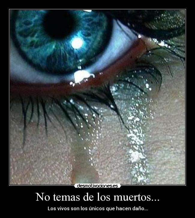 carteles vida muerte desmotivaciones