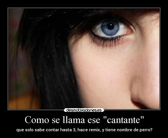 Como se llama ese cantante - que solo sabe contar hasta 3, hace remix, y tiene nombre de perro?