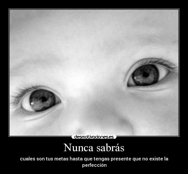 Nunca sabrás - 