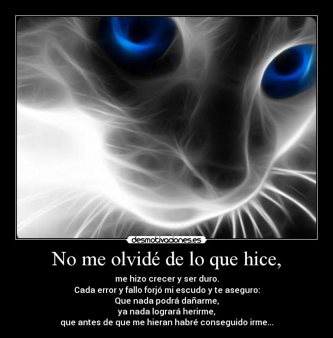 No me olvidé de lo que hice, - me hizo crecer y ser duro.
Cada error y fallo forjó mi escudo y te aseguro:
Que nada podrá dañarme,
ya nada logrará herirme,
que antes de que me hieran habré conseguido irme...