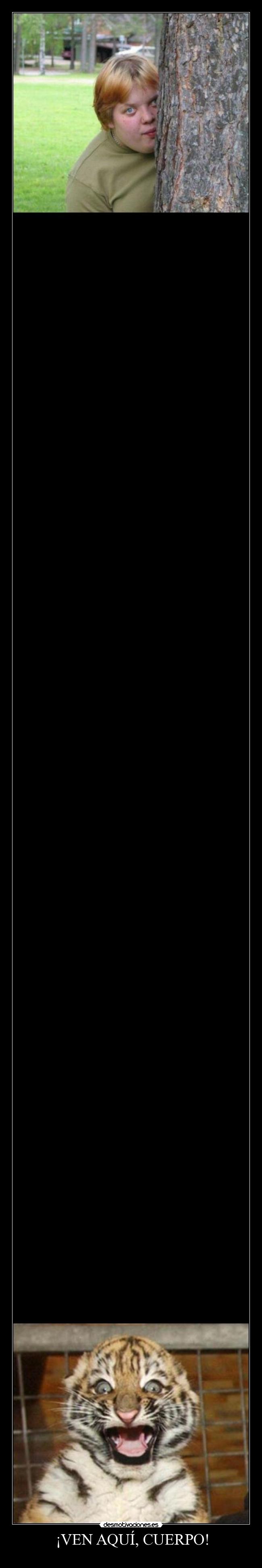 carteles tigretoneh clantigretoneh desollao desmotivaciones