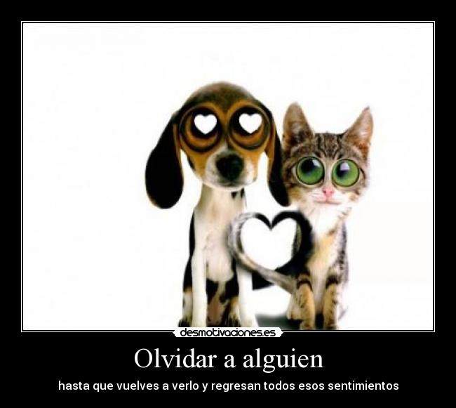 Olvidar a alguien - hasta que vuelves a verlo y regresan todos esos sentimientos