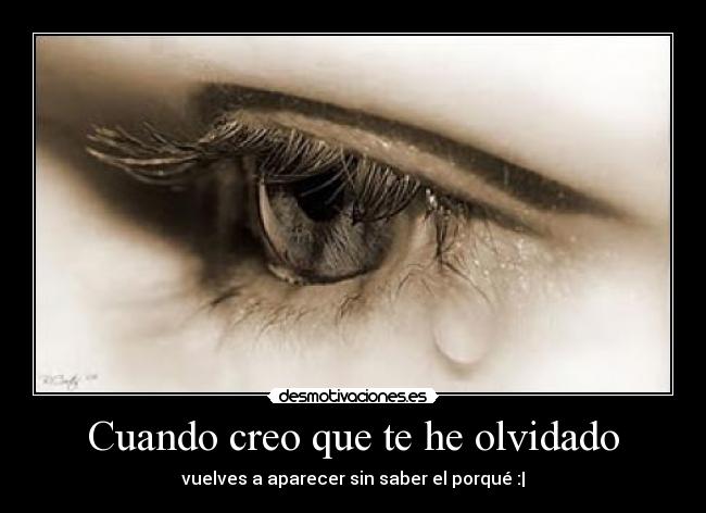 carteles tequiero desmotivaciones