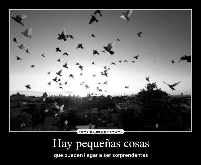 Hay pequeñas cosas - que pueden llegar a ser sorprendentes