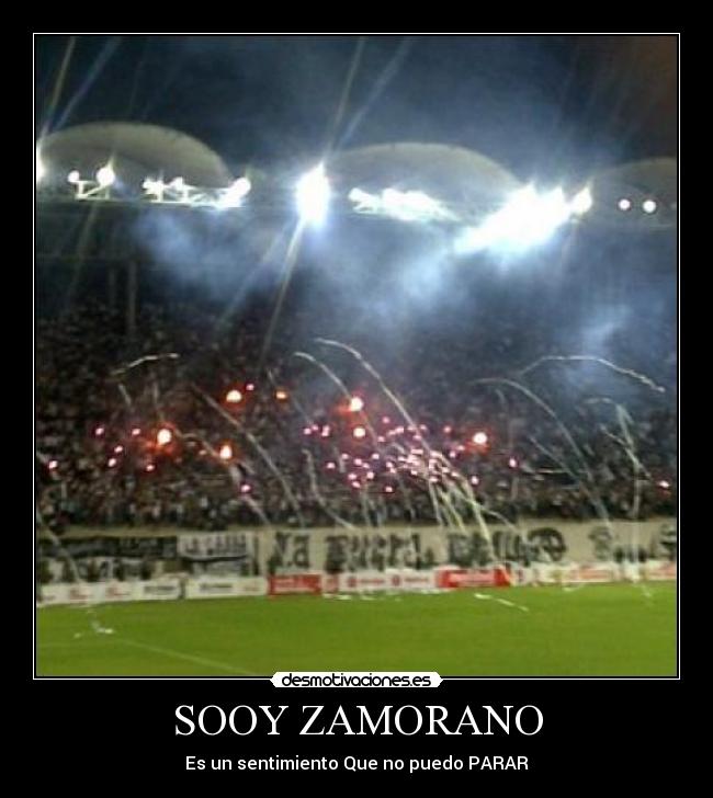 carteles zamora desmotivaciones