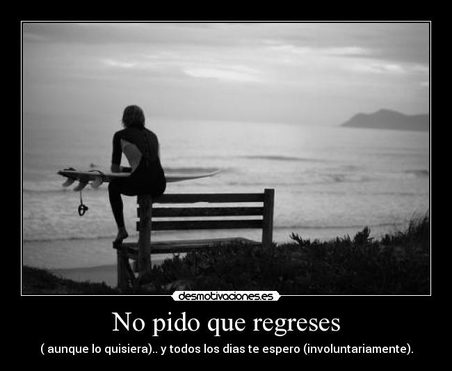 No pido que regreses - 