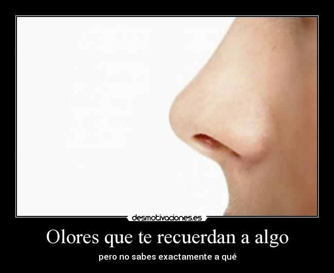 carteles eso desmotivaciones