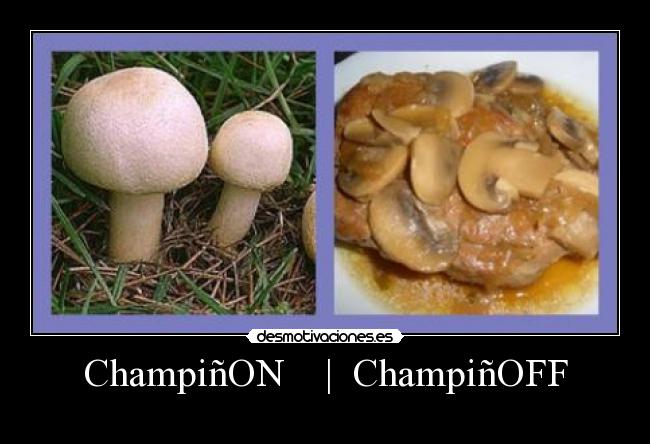 ChampiñON | ChampiñOFF -