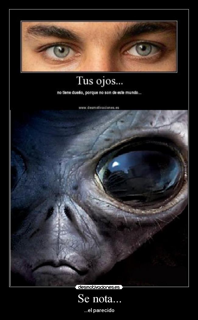 Se nota... - ...el parecido
